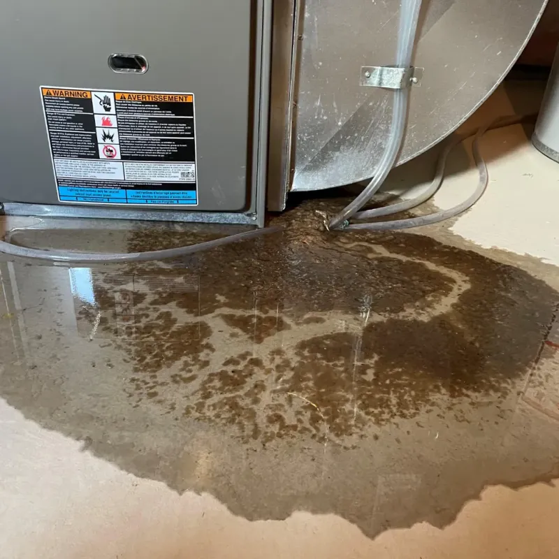 Appliance Leak Cleanup in Gibson County, TN